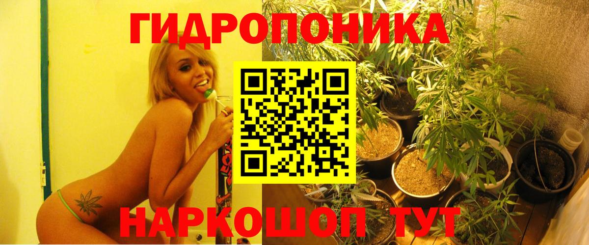 Шишки марихуана марихуана  Каннабис гибрид  Кизляр  Канабис конопля  Вход с VPN 